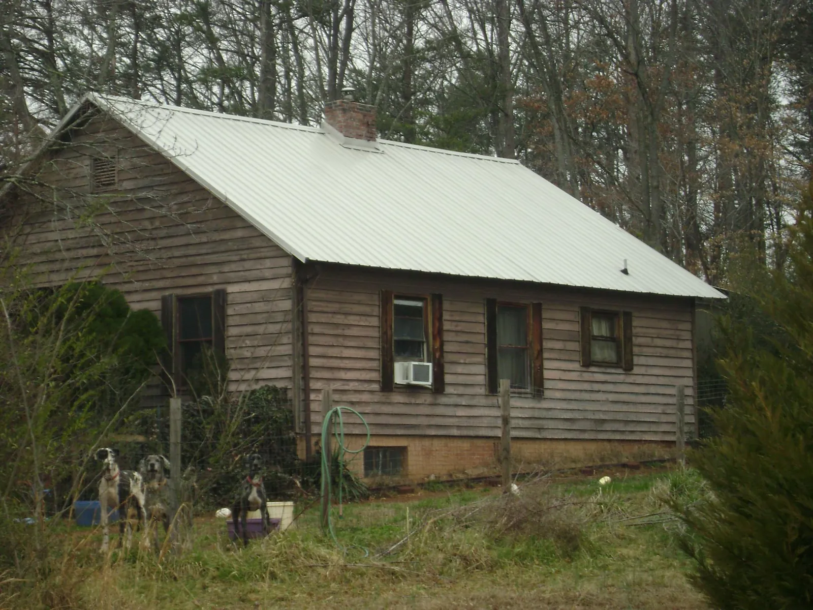 White metal roof on an old wood sided farmhouse, from a Metal Roof Installation job in Ten Sleep